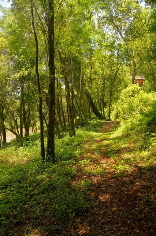 אל סוברביו Yucuma Lodge מראה חיצוני תמונה